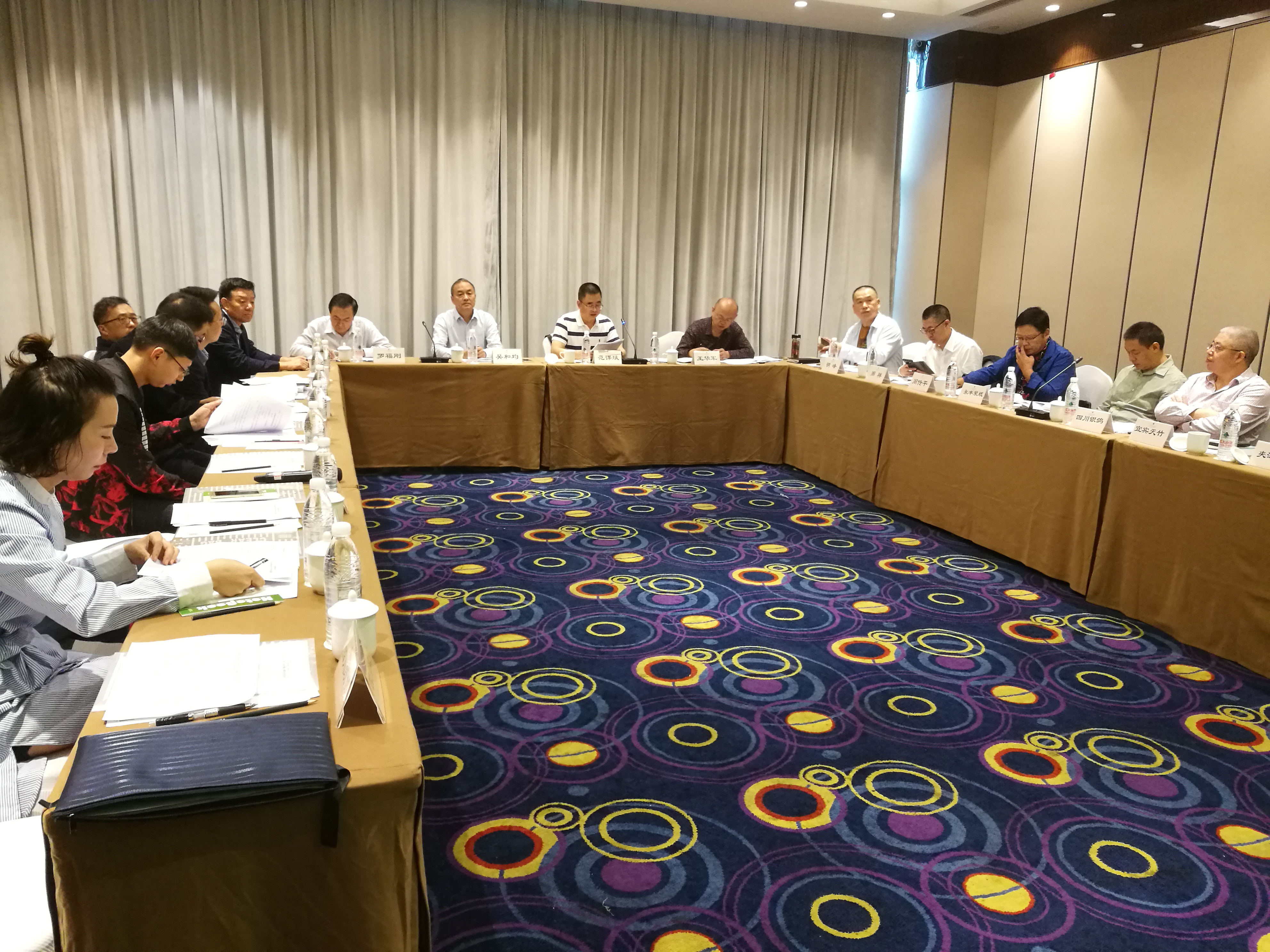 四川省地方標準《本色竹漿》初審會(huì )會(huì )場(chǎng)