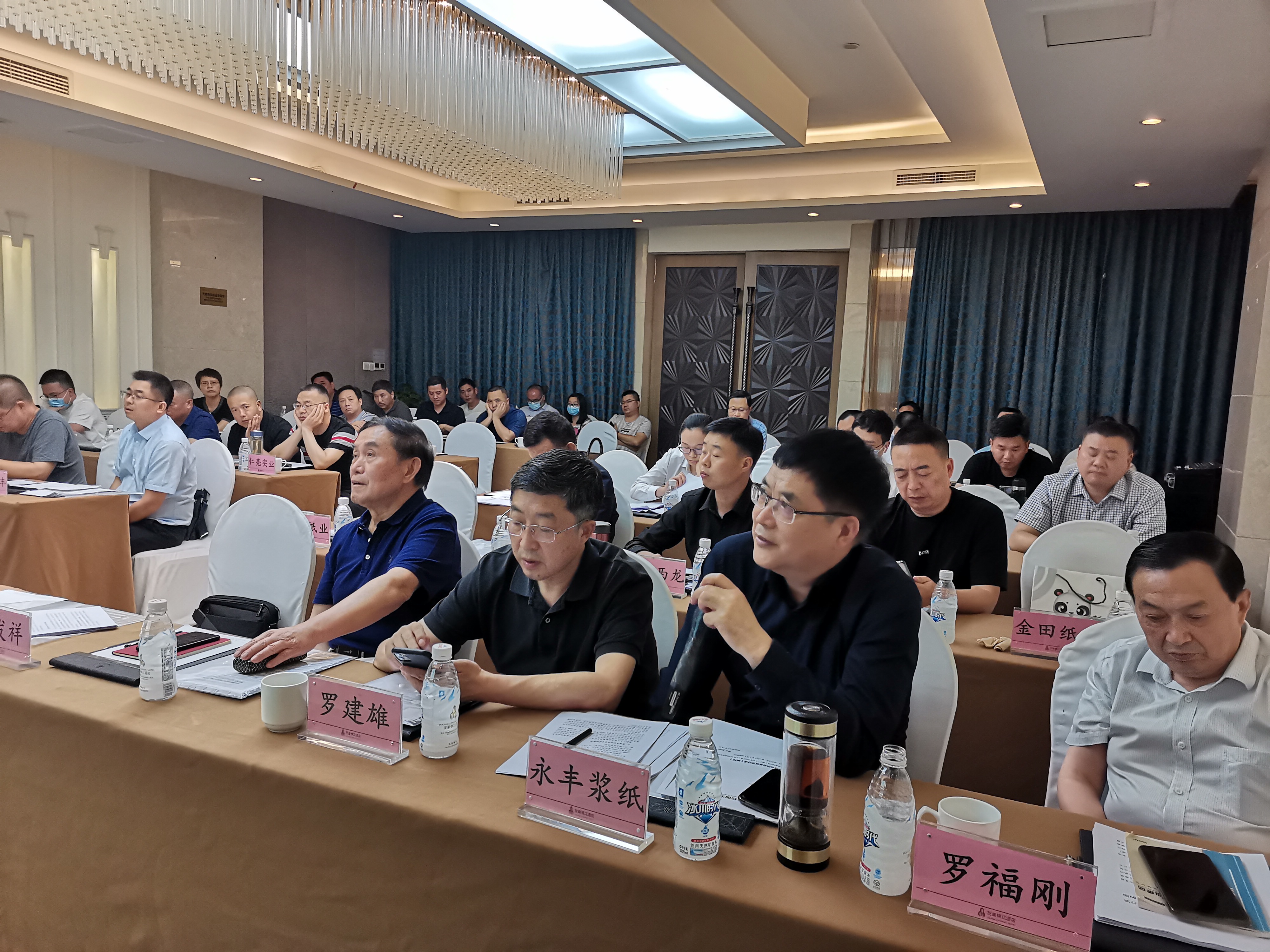 四川永豐漿紙股份有限公司代表發(fā)言